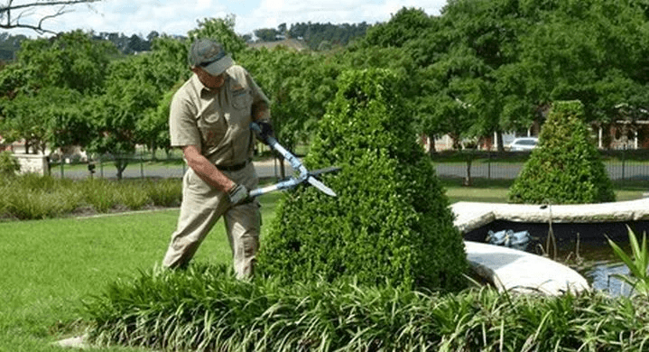 Horticulture & Landscaping